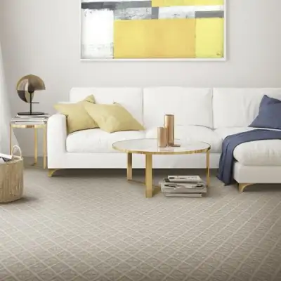 Carpet sample: 2648571 24