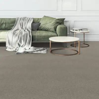 Carpet sample: 3318231 24